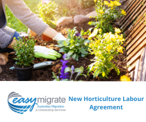 Australian businesses in the horticulture industry can apply for the new Horticulture Industry Labour Agreement